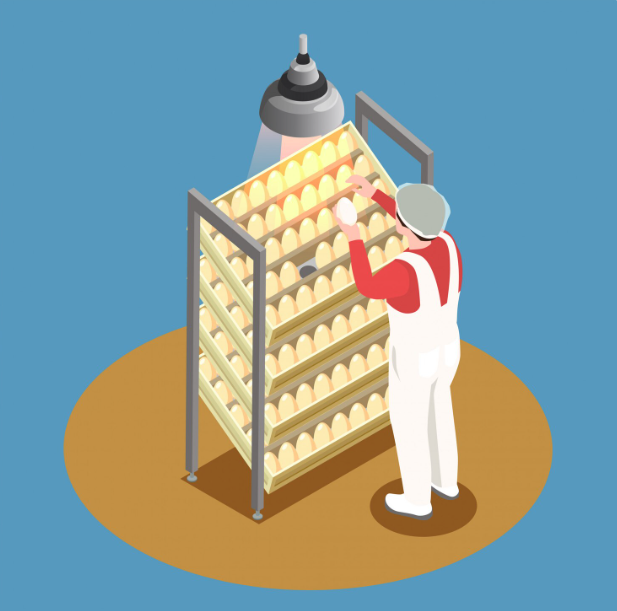 Key Production Metrics for Commercial Egg Roll Manufacturing