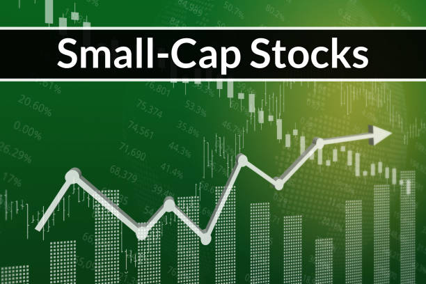 Is Buying Smallcap Stocks a Wise Long-Term Investment? 